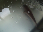 P9280024.JPG